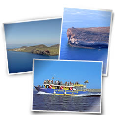 Escursioni via mare a Lampedusa, Linosa e Lampione