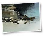 il mare di Lampedusa