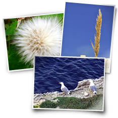relax e benessere a Lampedusa